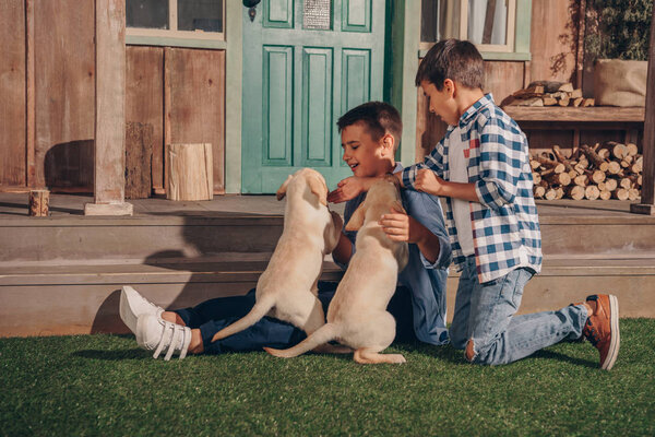 мальчики играют с щенками лабрадора
