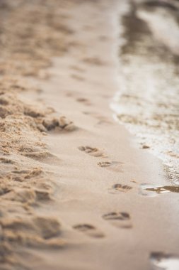footprints on sandy beach clipart