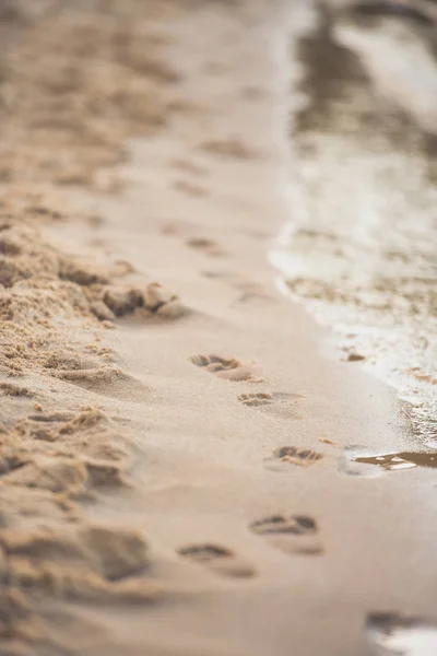 Voetafdrukken op zandstrand — Stockfoto