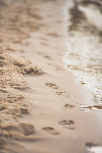 footprints on sandy beach