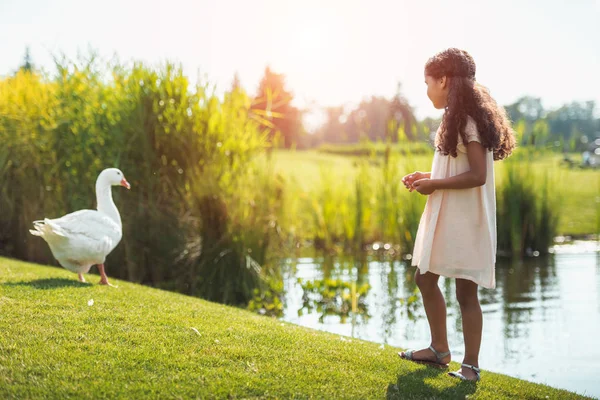 Girl feeding goose near lake — Stock Photo, Image