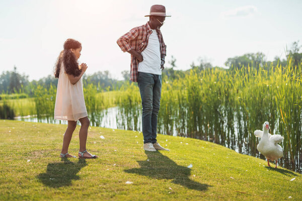 внучка и дедушка с гусём
