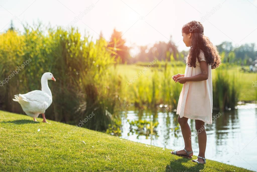 girl feeding goose near lake