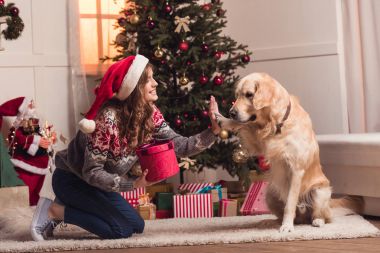 genç kadın ve köpek Noel