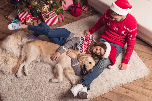 İki Noel Baba şapkaları ile köpek içinde