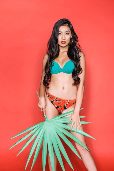 Woman in swimsuit with palm leaf — Stock Photo, Image