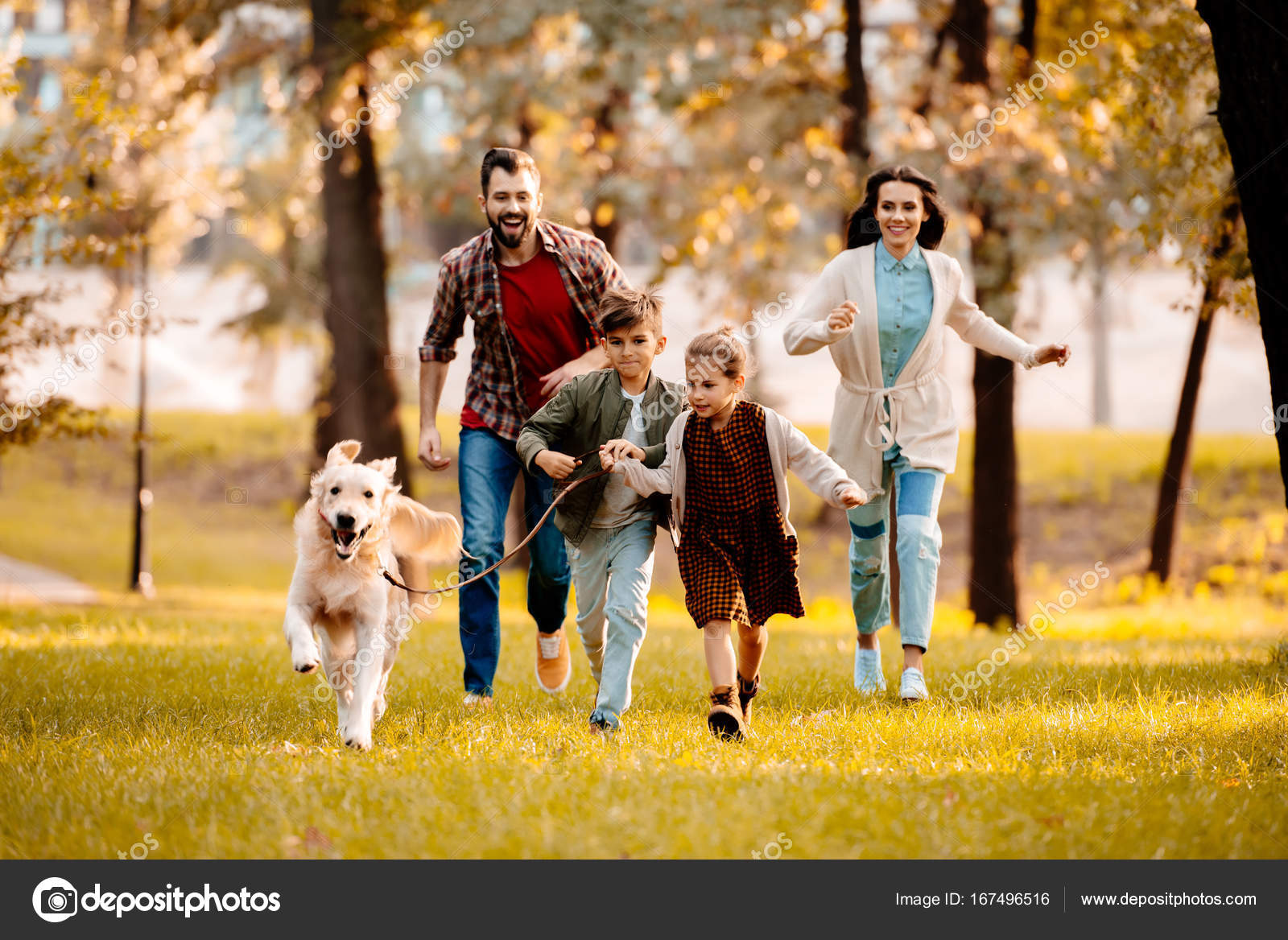 Perro Corriendo En El Parque Foto de archivo - Imagen de feliz, parque:  157884756