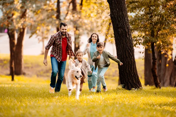 Familia corriendo detrás de perro — Foto de Stock