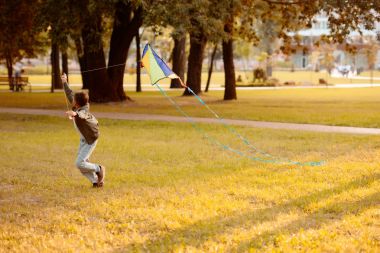 Boy flying kite in park clipart