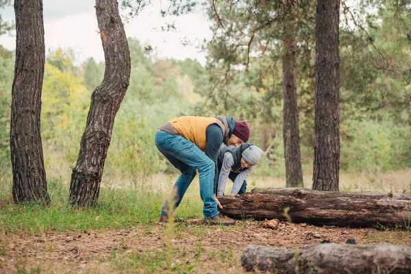 Father and son moving log in forest — Free Stock Photo
