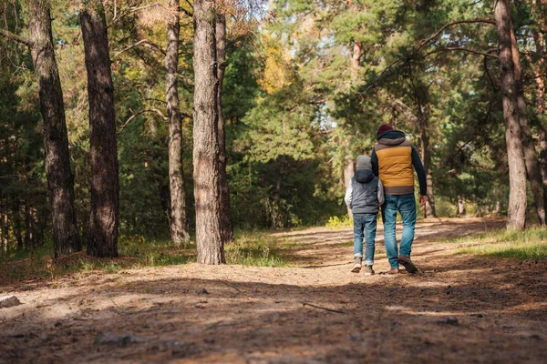 Отец и сын гуляют по лесу — стоковое фото
