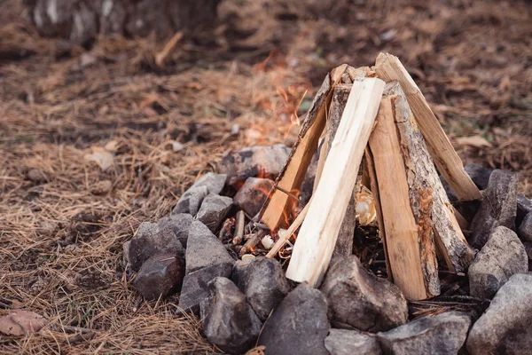 Firewood — Stock Photo, Image