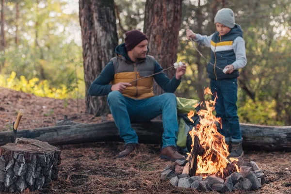 父亲和儿子做饭在森林里的棉花糖 — 图库照片