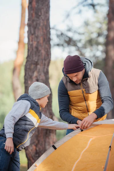 Vater und Sohn bauen Zelt auf — Stockfoto