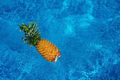ananas, plovoucí ve vodě