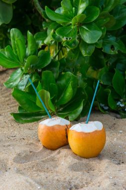cocktails in coconuts on sand clipart