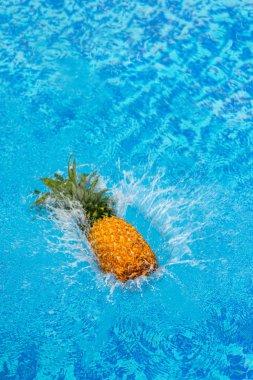 pineapple falling in water clipart