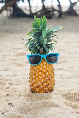 Mavi sunglassses ananas