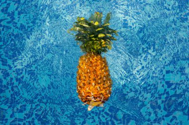 suda yüzen ananas