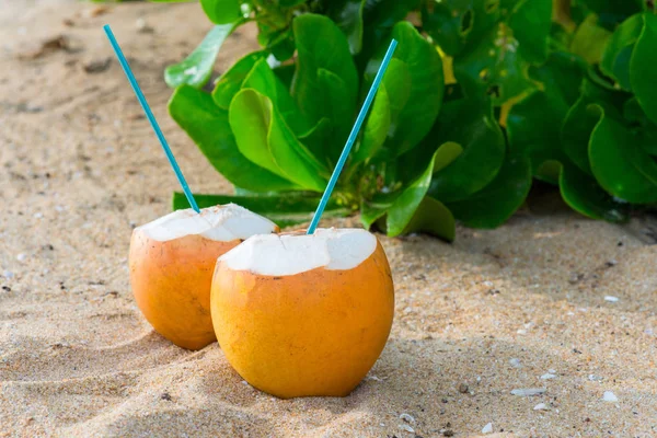 Коктейлі в кокосах на піску — стокове фото