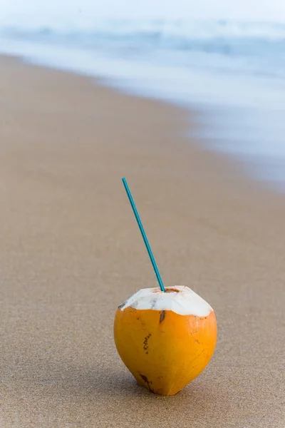 Cocktail en noix de coco avec paille — Photo