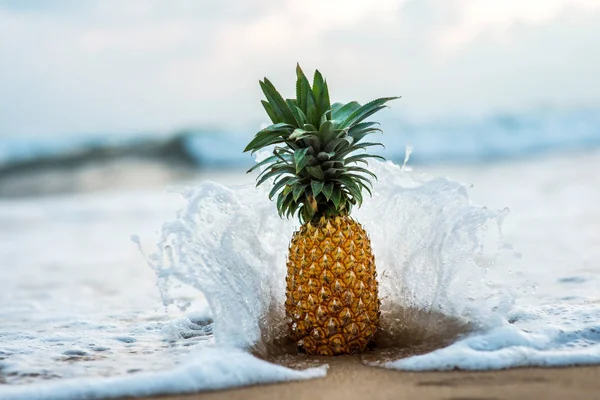 Pineapple standing on seashore — Stock Photo, Image