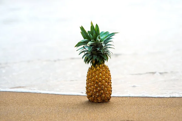 Ananasem postavení na písečné pláži — Stock fotografie