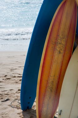 surfboards standing in row on beach clipart