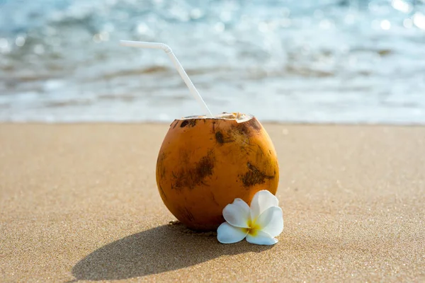 Cocktail in coconut on beach — Stock Photo, Image