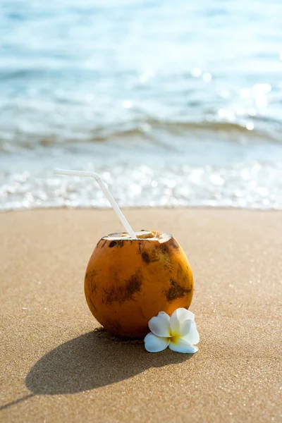 Kokosnöt cocktail — Stockfoto