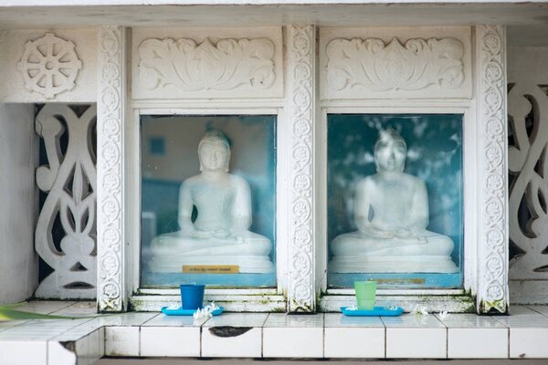 buddha statues behind glass