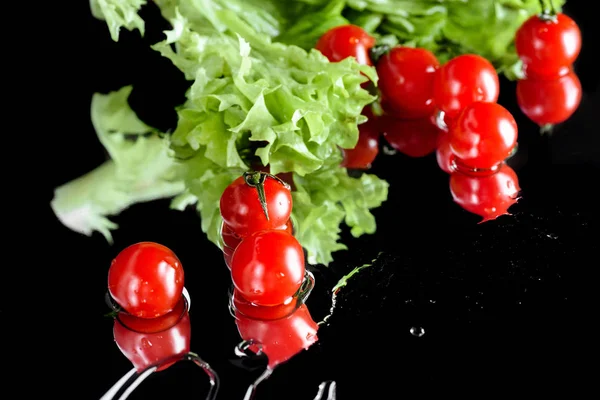Tomates frescos y lechuga - foto de stock