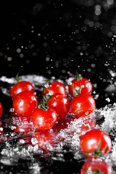 Frische nasse Tomaten — Stockfoto