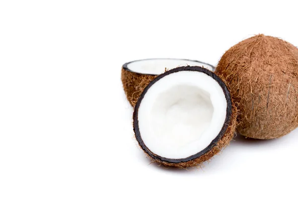 Noix de coco mûres biologiques — Photo de stock