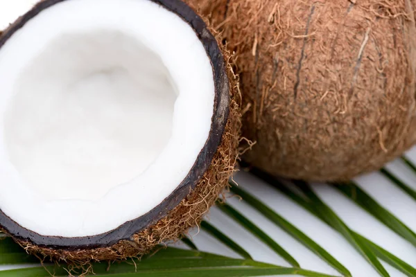 Noix de coco mûres biologiques — Photo de stock