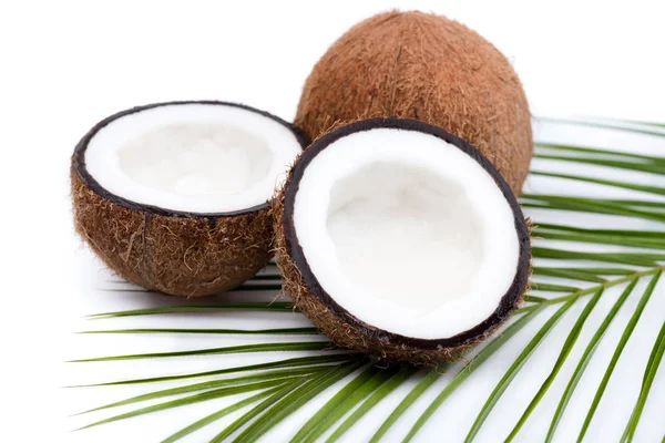 Organic ripe coconuts — Stock Photo