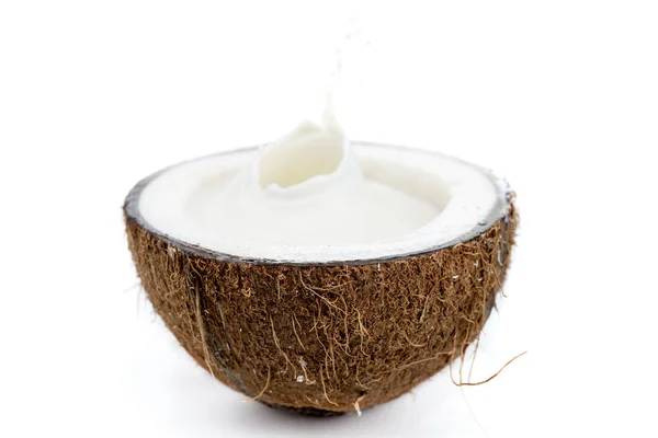 Coco tropical maduro con leche - foto de stock