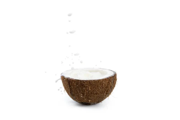 Coco tropical maduro con leche - foto de stock