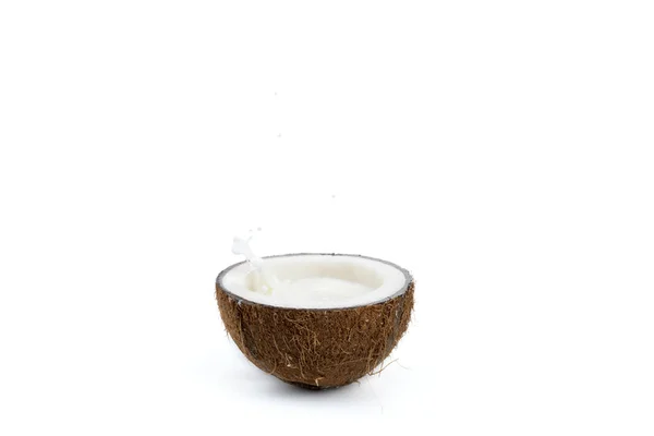 Coco tropical maduro con leche - foto de stock