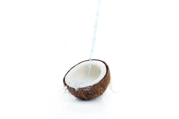 Coco tropical maduro con agua - foto de stock