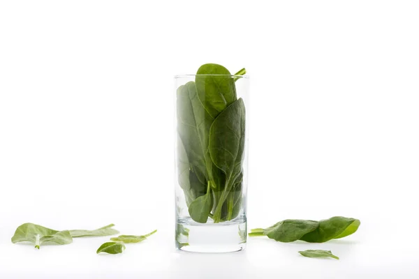 Листя шпинату в склянці — стокове фото