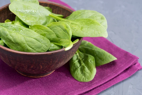 Fresh spinach in bowl — Stock Photo