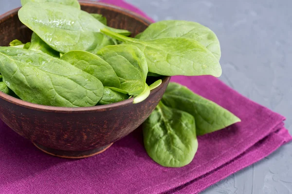 Frischer Spinat in Schüssel — Stockfoto