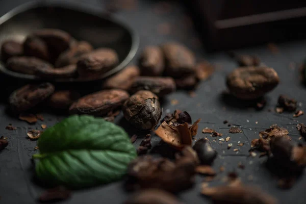 Cocoa beans with mint leaf on tabletop — Stock Photo