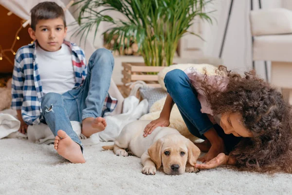 Crianças multiétnicas com filhote de cachorro labrador — Fotografia de Stock