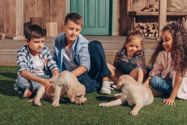 Niños multiétnicos con lindos cachorros - foto de stock