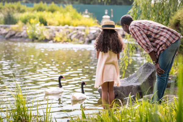 Granddaughter and grandfather feeding geese — Stock Photo