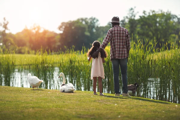 Granddaughter and grandfather feeding geese — Stock Photo