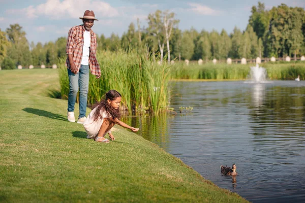 Petite-fille et grand-père nourrissant le canard — Photo de stock