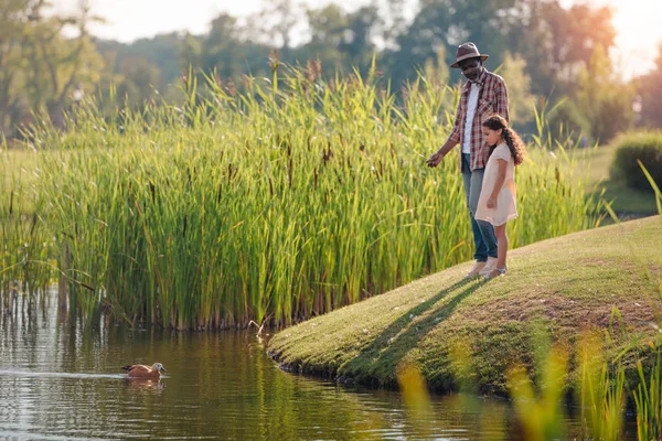 Enkelin und Großvater füttern Ente — Stockfoto